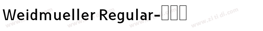 Weidmueller Regular字体转换